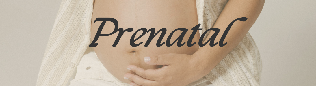 Prenatal Doula Support 